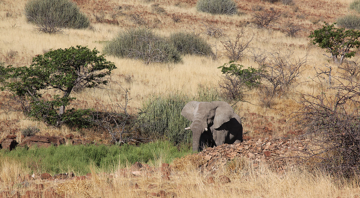 Marcocamandona.com - Namibia 2008