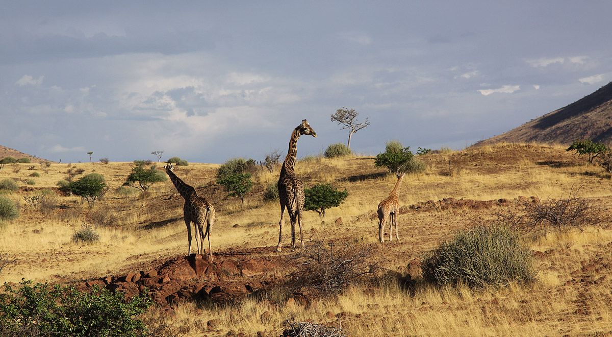 Marcocamandona.com - Namibia 2008