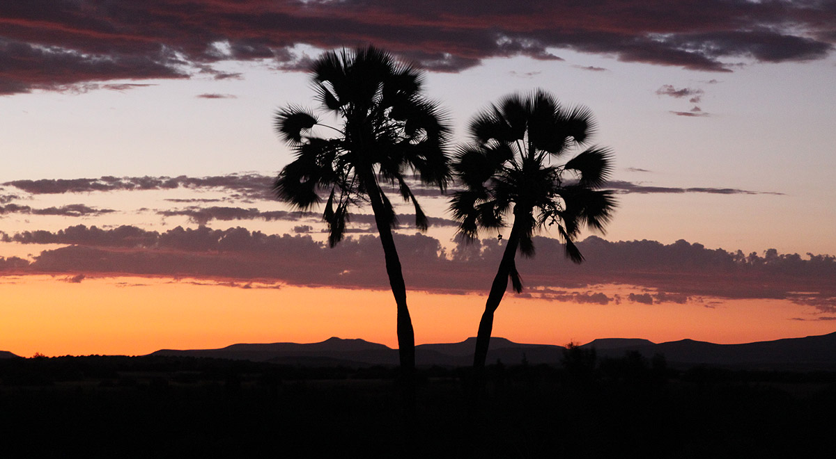 Marcocamandona.com - Namibia 2008