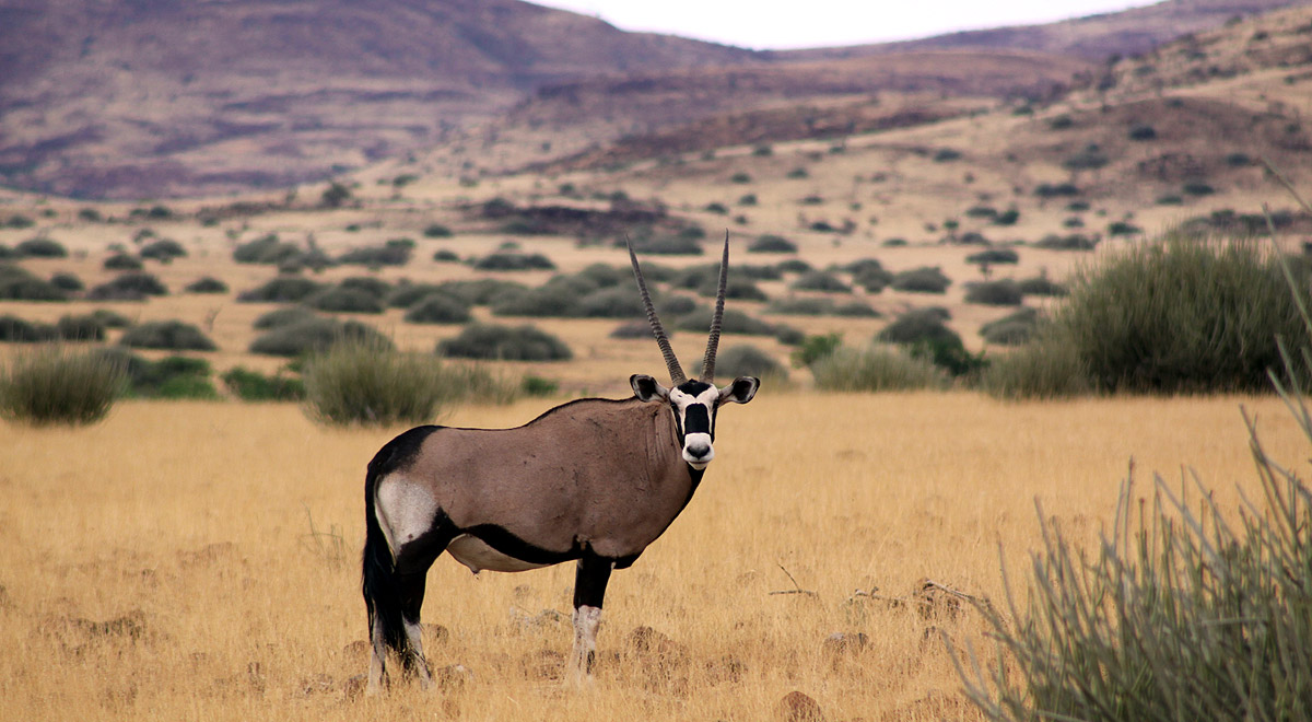 Marcocamandona.com - Namibia 2008