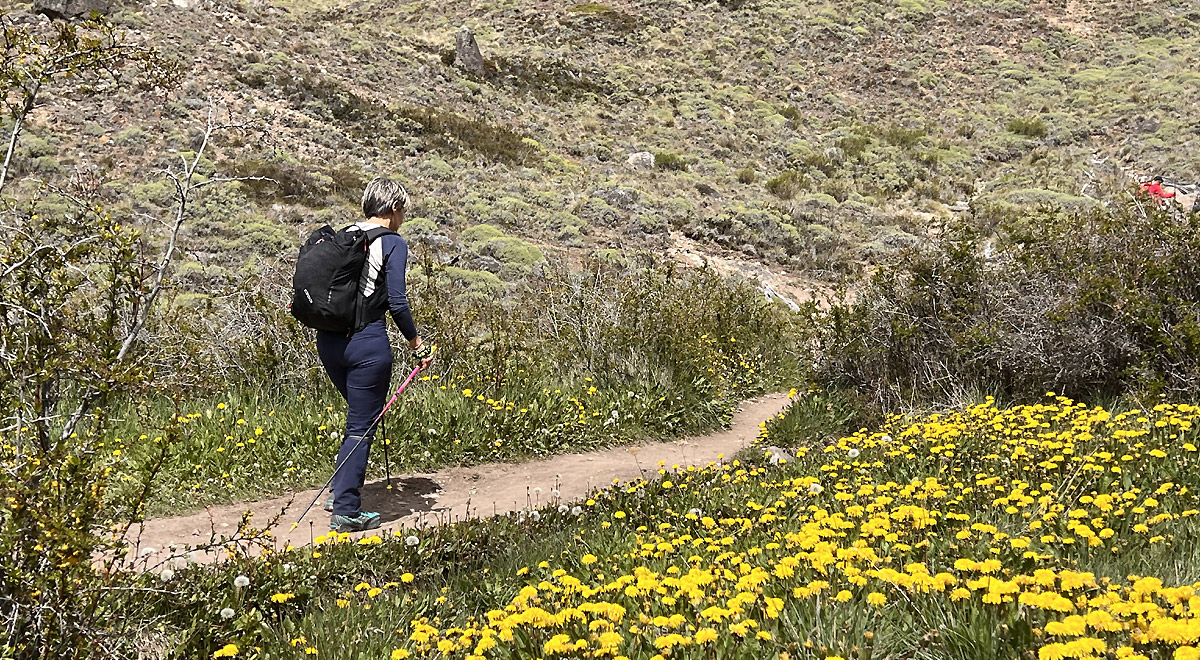 Marcocamandona.com - Patagonia